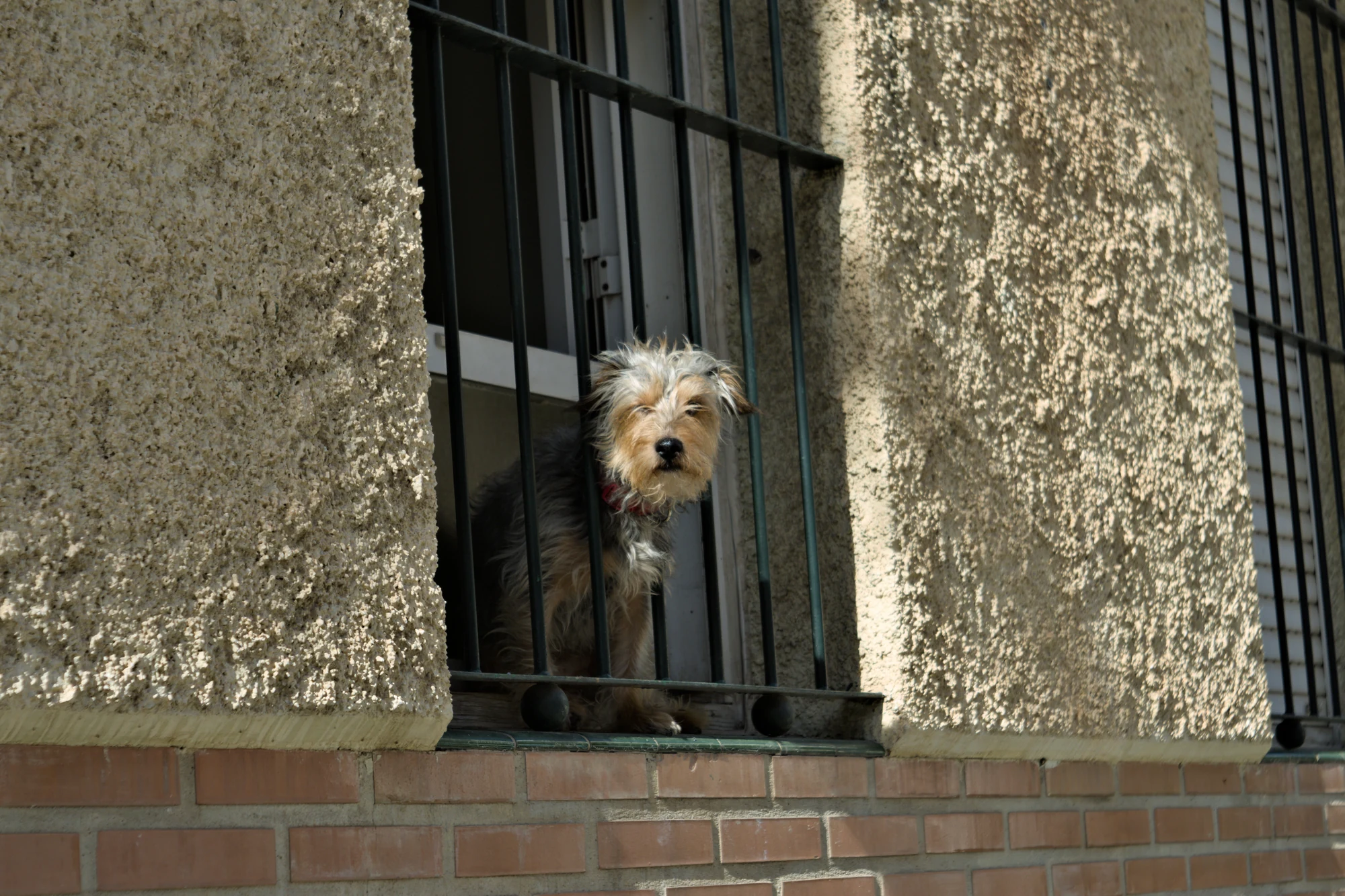 Industar-50-2 50mm f3.5 (M42) - _I4A2466.webp